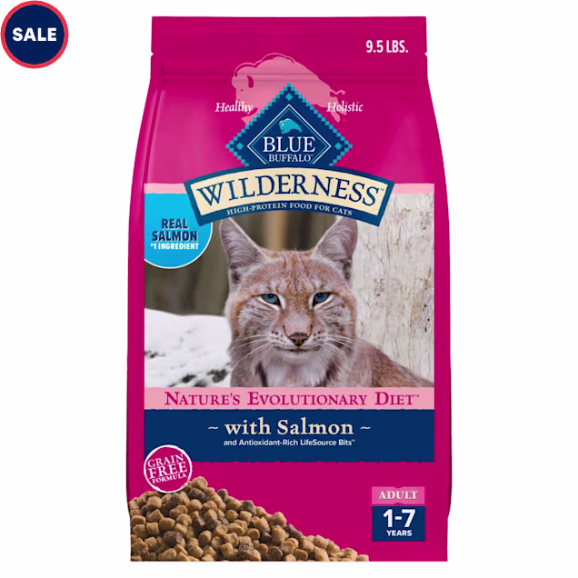 Blue Buffalo Wilderness Grain Free Natural High Protein Salmon Adult Dry Cat Food, 9.5 lbs. - Carousel image #1