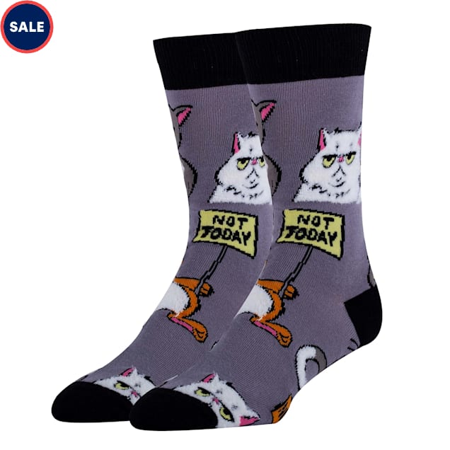 Oooh yeah! Men's Not Today Funny Crew Socks, Size 8-13 - Carousel image #1