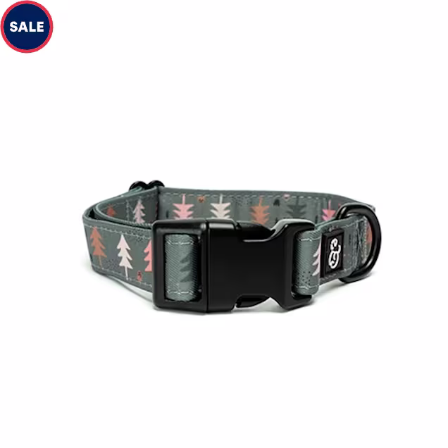 Lucy & Co. The Take a Hike Dog Collar, Small - Carousel image #1