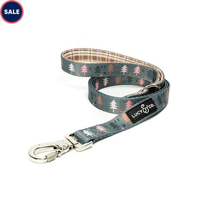 Lucy & Co. The Take a Hike Dog Leash, 8.58" L X 2.36" W, Small - Carousel image #1