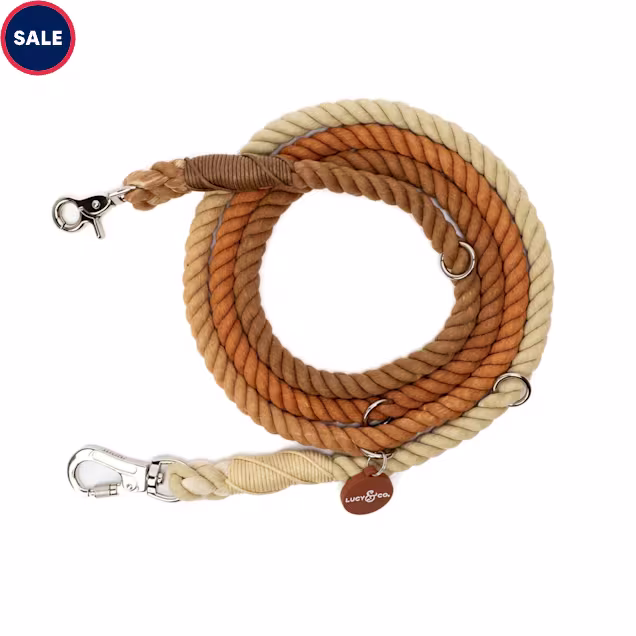 Lucy & Co. The Chocolate Meadows Hands-Free Dog Leash, 10" L X 7.75" W - Carousel image #1