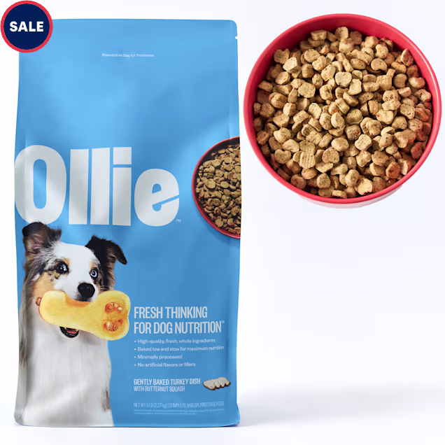 Ollie Baked Turkey Dish with Butternut Squash Dog Food, 5 lbs. - Carousel image #1