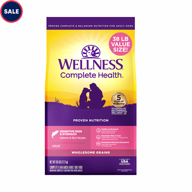 Wellness Complete Health Sensitive Skin & Stomach, Salmon and Rice Recipe Natural Adult Dry Dog Food, 38 lbs. - Carousel image #1