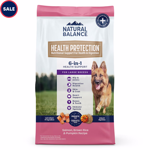 Natural Balance Health Protection Salmon & Rice Recipe Large Breed Dry Dog Food, 26 lbs. - Carousel image #1