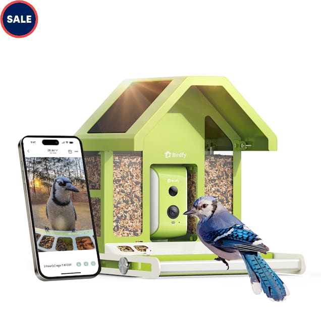 Birdfy Metal Bird Feeder with Camera Squirrel Proof, Solar Powered, 11.42" L X 10.24" W X 9.84" H - Carousel image #1