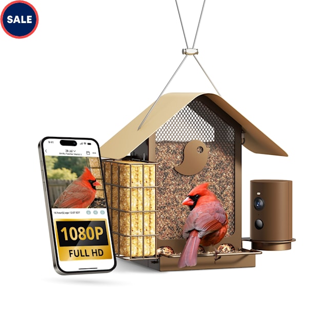 Birdfy Metal V Bird Feeder with Camera, Durable Suet Feeder Dual Camera AI by Subscription, 6.1" L X 6.1" W X 11.65" H - Carousel image #1