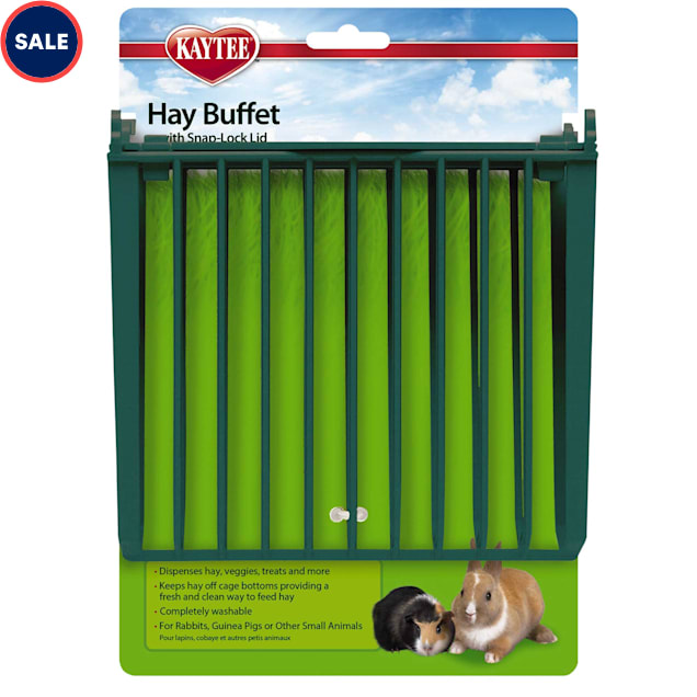 Petco hay feeder best sale