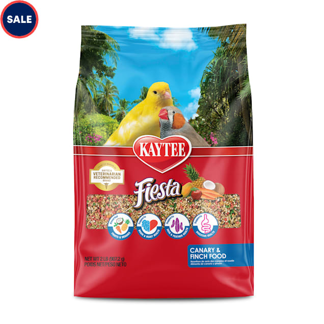 Kaytee fiesta parrot food best sale