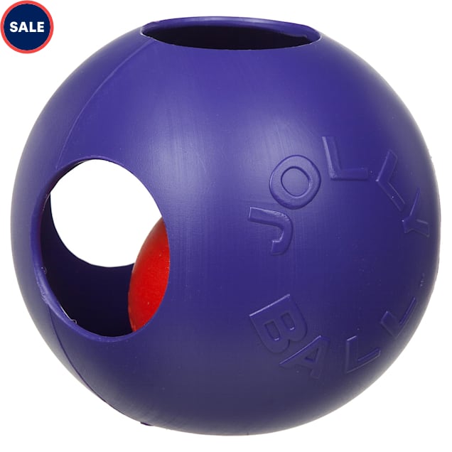 Jolly Pet Teaser Ball for Medium Dogs Petco