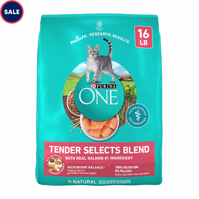 Purina ONE Tender Selects Blend With Real Salmon Natural Dry Cat Food, 16 lbs. - Carousel image #1