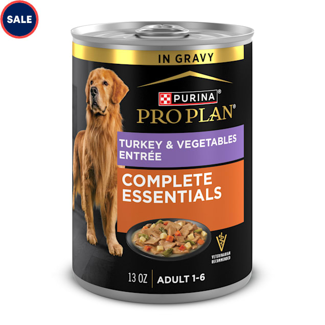 Become a Pro at Protein: Understanding Protein for Dogs