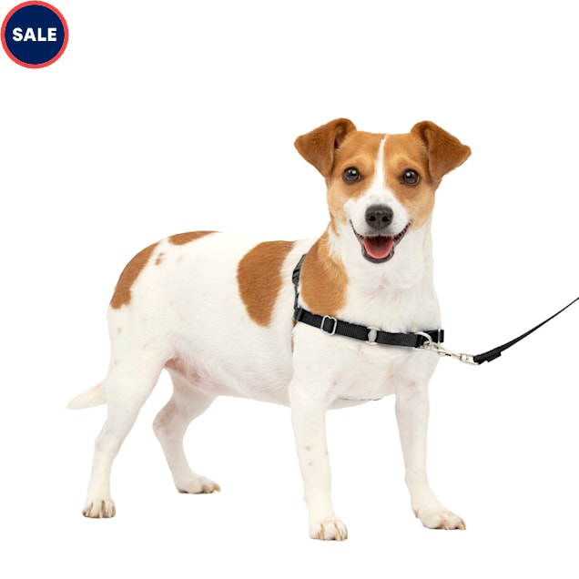 PetSafe Easy Walk No-Pull Dog Harness, Small, Black - Carousel image #1