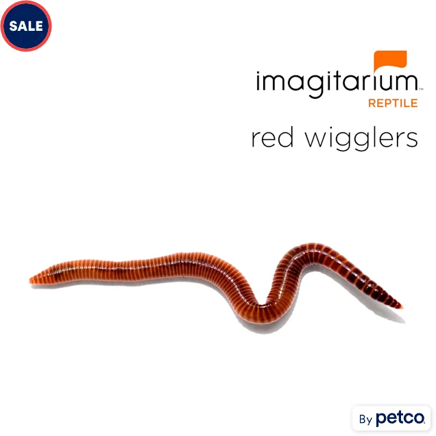 Red Wigglers For Sale | Petco