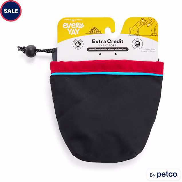 EveryYay Extra-Credit Black Canvas Treat Pouch for Dogs | Petco