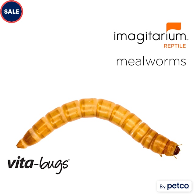 Can dogs eat mealworms cheap
