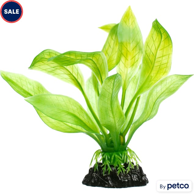 Petco deals corner aquarium
