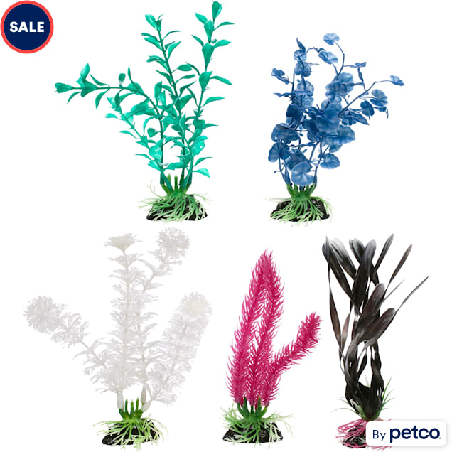 Petco aquarium plants online