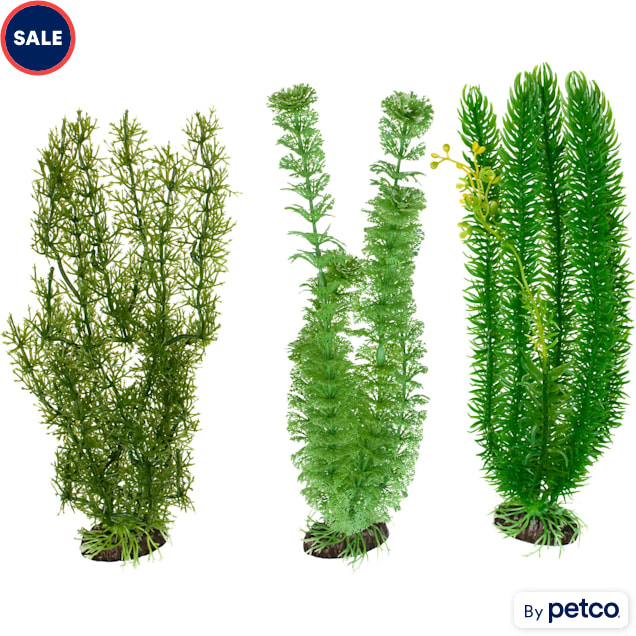 Petco sale fish plants