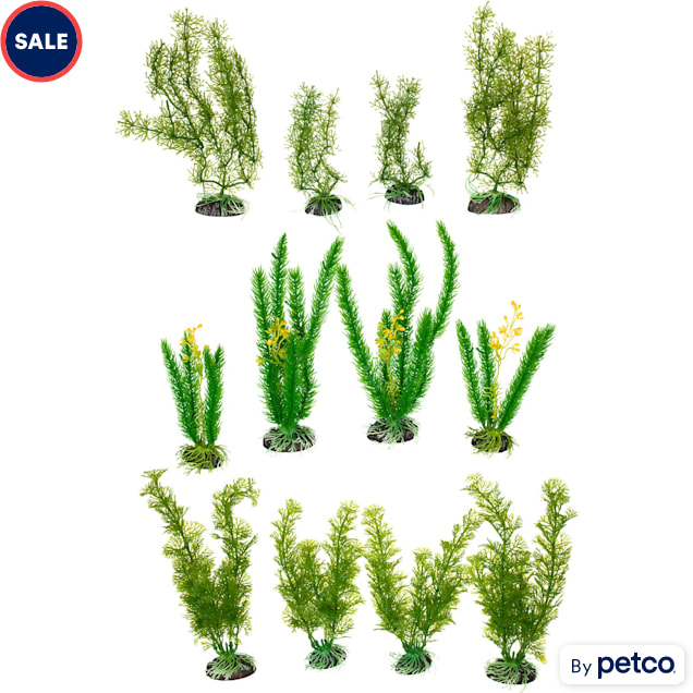 Live aquarium top plants petco