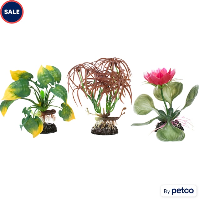 Imagitarium Floral Aquarium Plant Petco