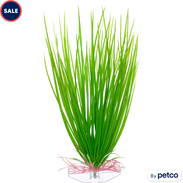 Imagitarium Green Hair grass Plastic Aquarium Plant Petco