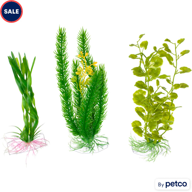 Petco aquarium plants store