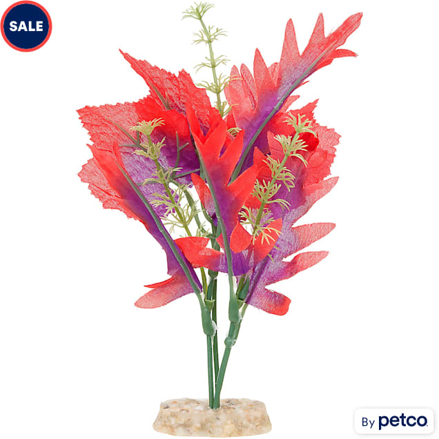 Petco 2025 fish plants