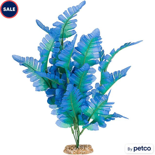 Live aquarium plants petco online