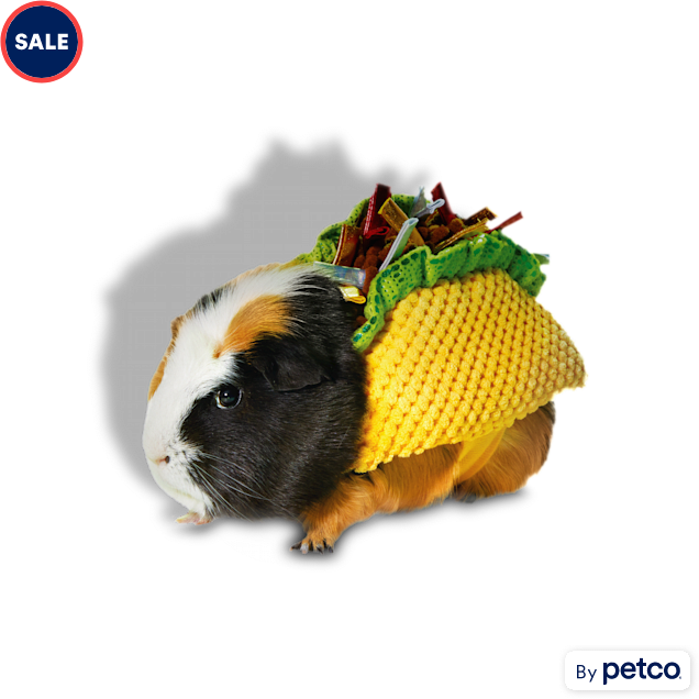 Guinea pig costumes for sale outlet