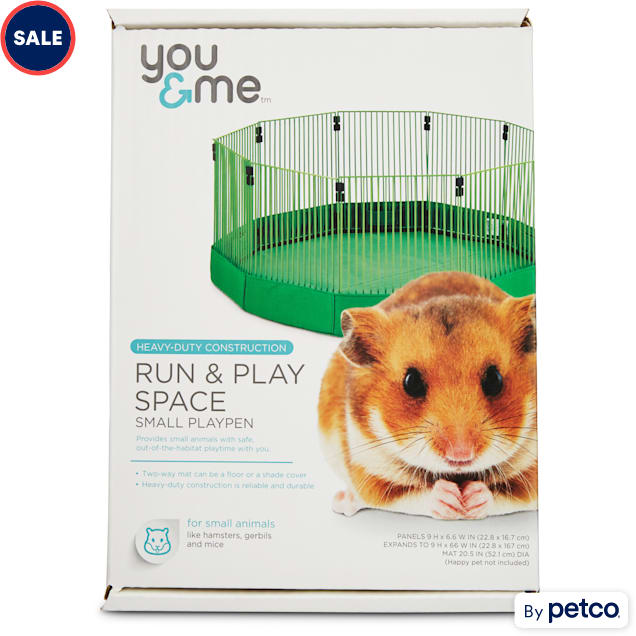 Rats For Sale, Live Pet Rats For Sale, Petco