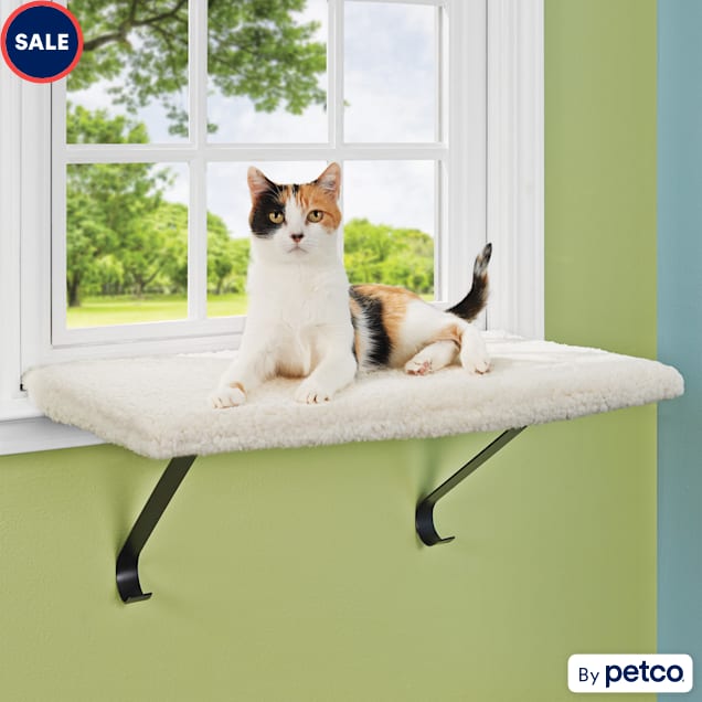 EveryYay Higher Ground Memory Foam Cat Perch 1.5 H Petco