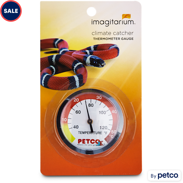 Thermometer Guide for Reptiles: The Best Types of Thermometers for Reptiles  & How to Use them 