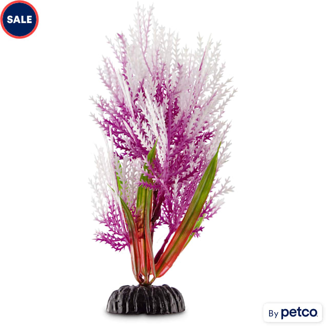 Imagitarium Purple Hairgrass Foreground Plastic Aquarium Plant Petco