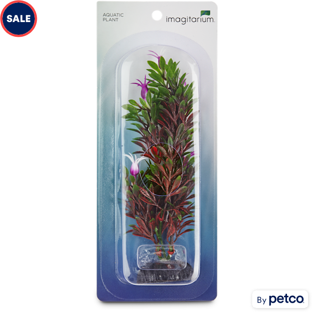 Petco outlet aquarium plants