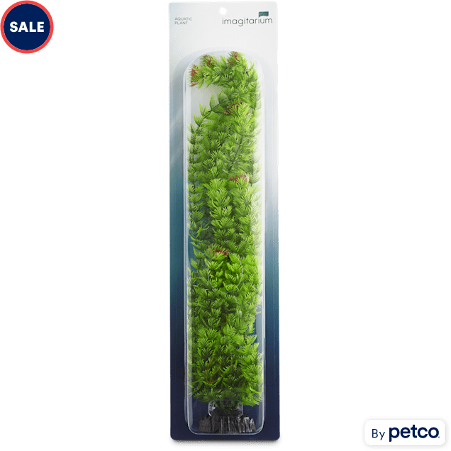 Imagitarium Extra Large Ambulia Green Plant - Carousel image #1