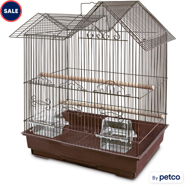 Bird travel cage petco cheap