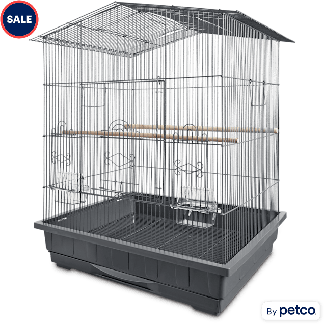 You Me Gable Playtop Parrot Habitat 24.75