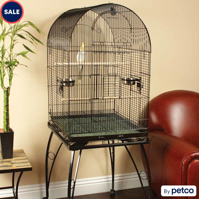 Two's Company Decorative Green Metal Birdcage