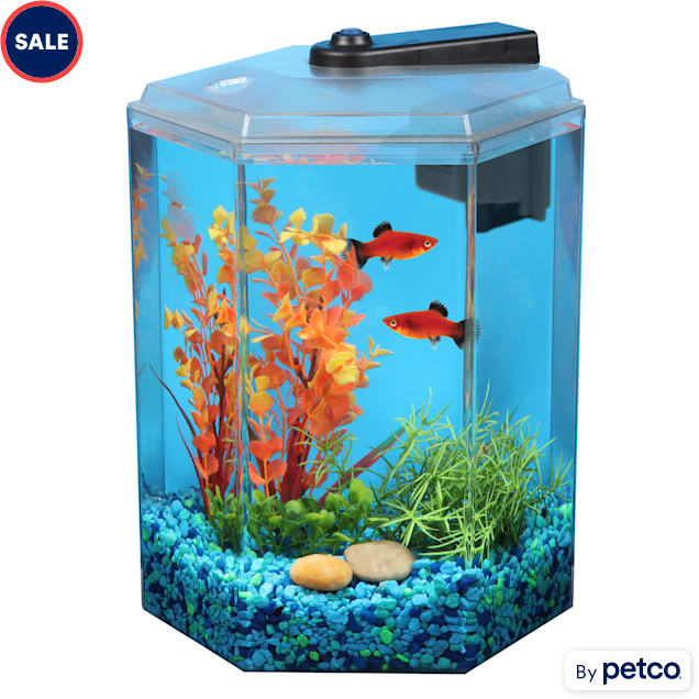 Imagitarium 1.7 Gallon Hexagonal Aquarium Petco