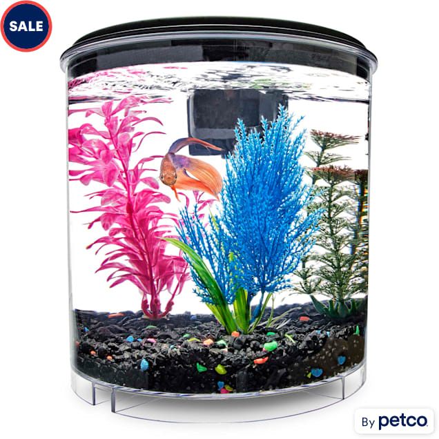 Imagitarium 2 Gallon Cumberland Tank Petco