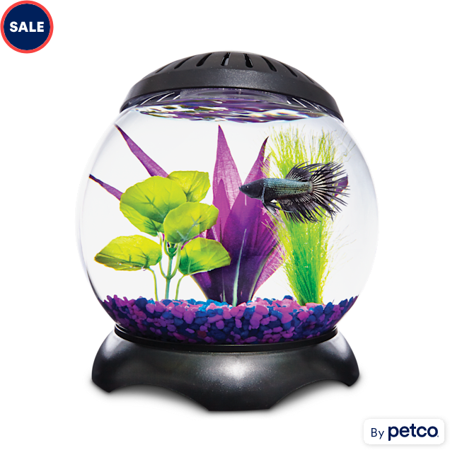 Petco 3 gallon tank outlet
