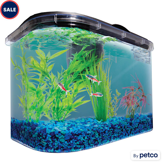 AQUARIUM - 5 1/2 gallon glass aquarium with filter and accessories