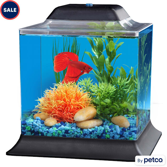 2.5 gallon clearance fish tank petco