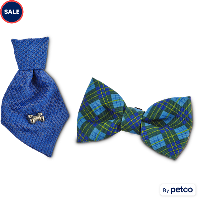 Bond & Co. Blue Bowtie Set for Small Dogs, Small - Carousel image #1