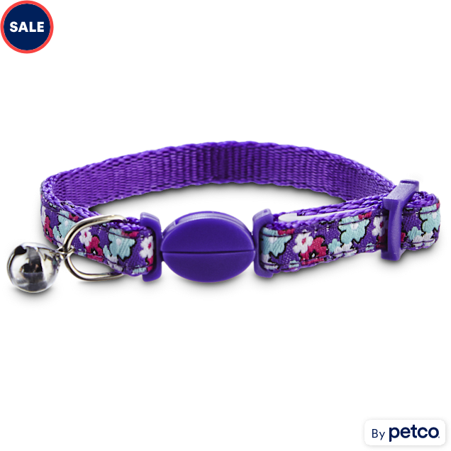 Bond & Co Purlple Flower Print Kitten Collar Petco