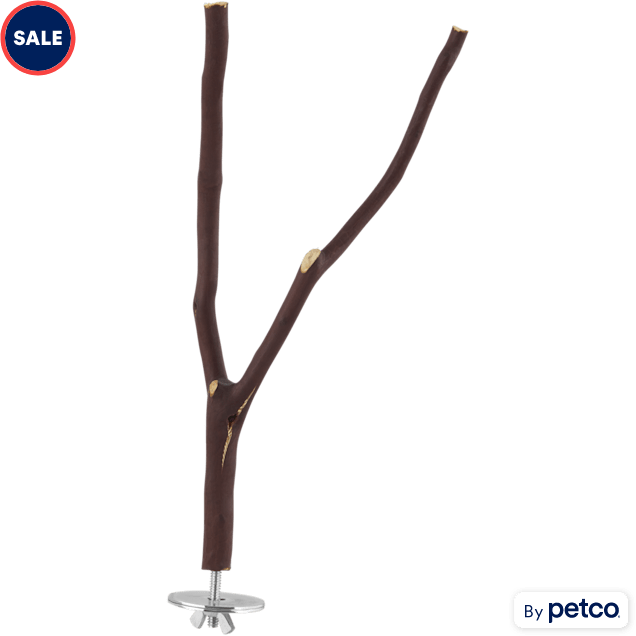 Petco bird perches store