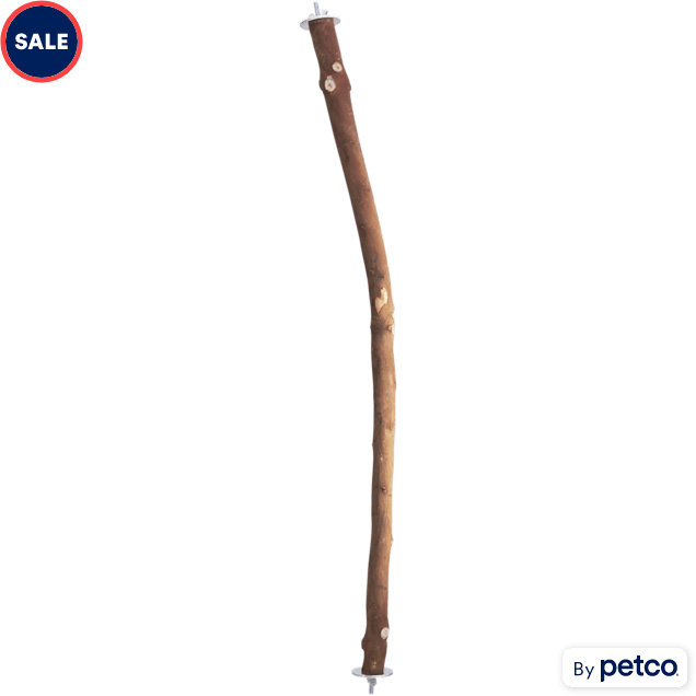 Petco bird perches clearance
