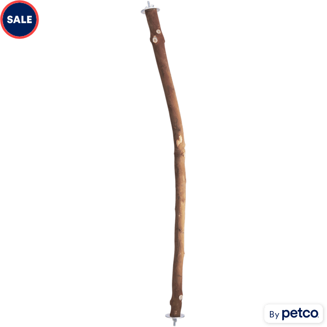 Penn-Plax Bird-Life Natural Wood Tree Perch – Large – 19” Height, Brown 