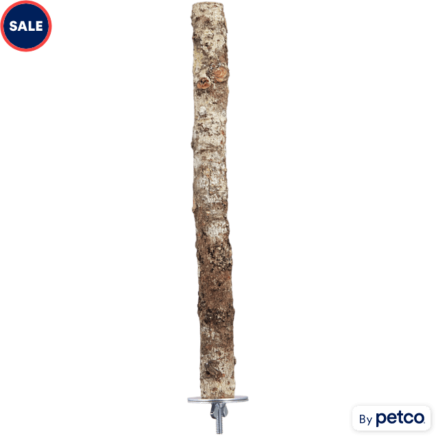 Petco bird perches sales