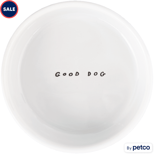 Petco ceramic dog bowls sale